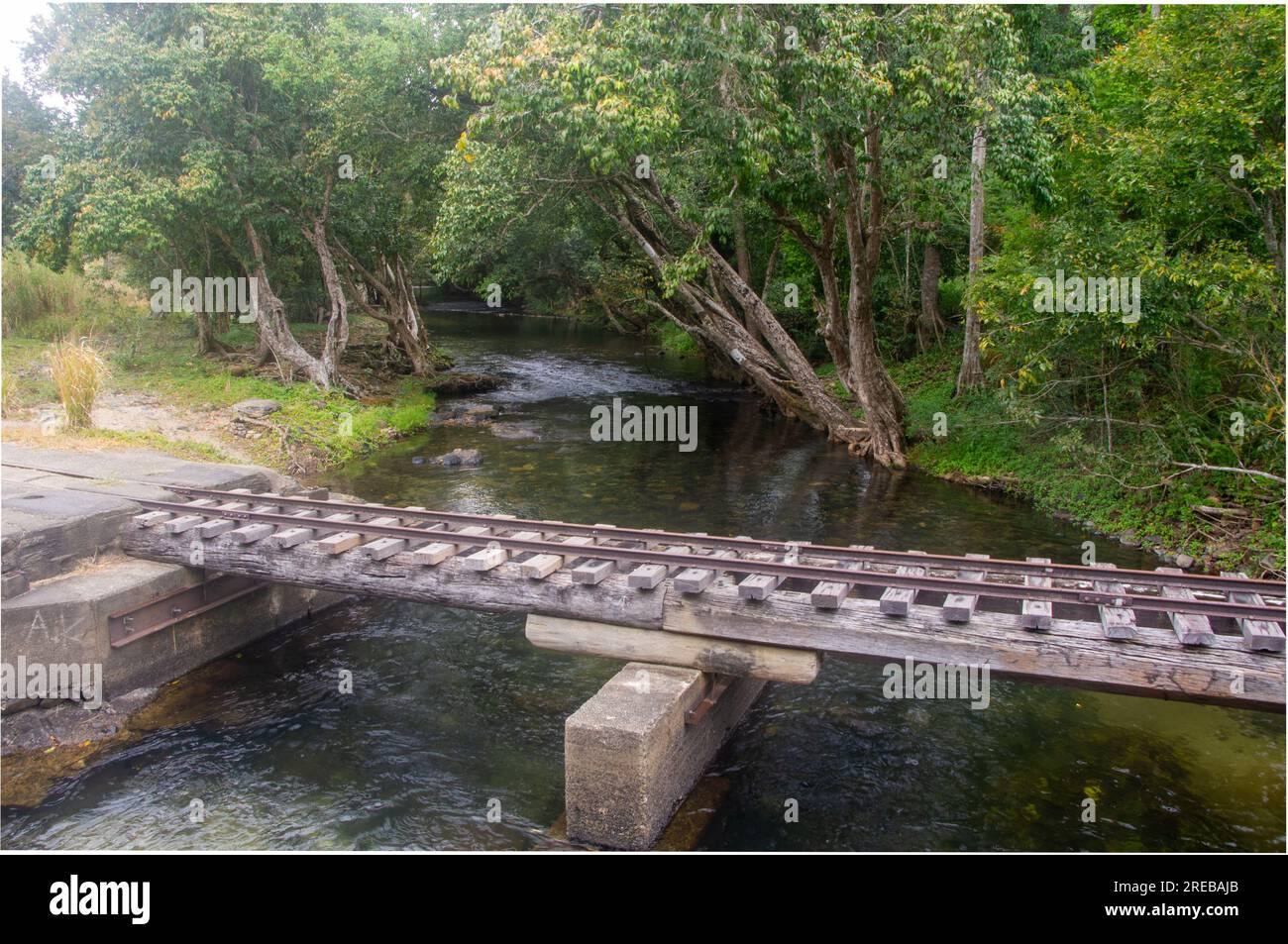 Little Mulgrave River, friedliche, von Bäumen gesäumte Flusslandschaft, mit Eisenbahnbrücke für Sugar Cane Transport, Cairns, Australien. Stockfoto