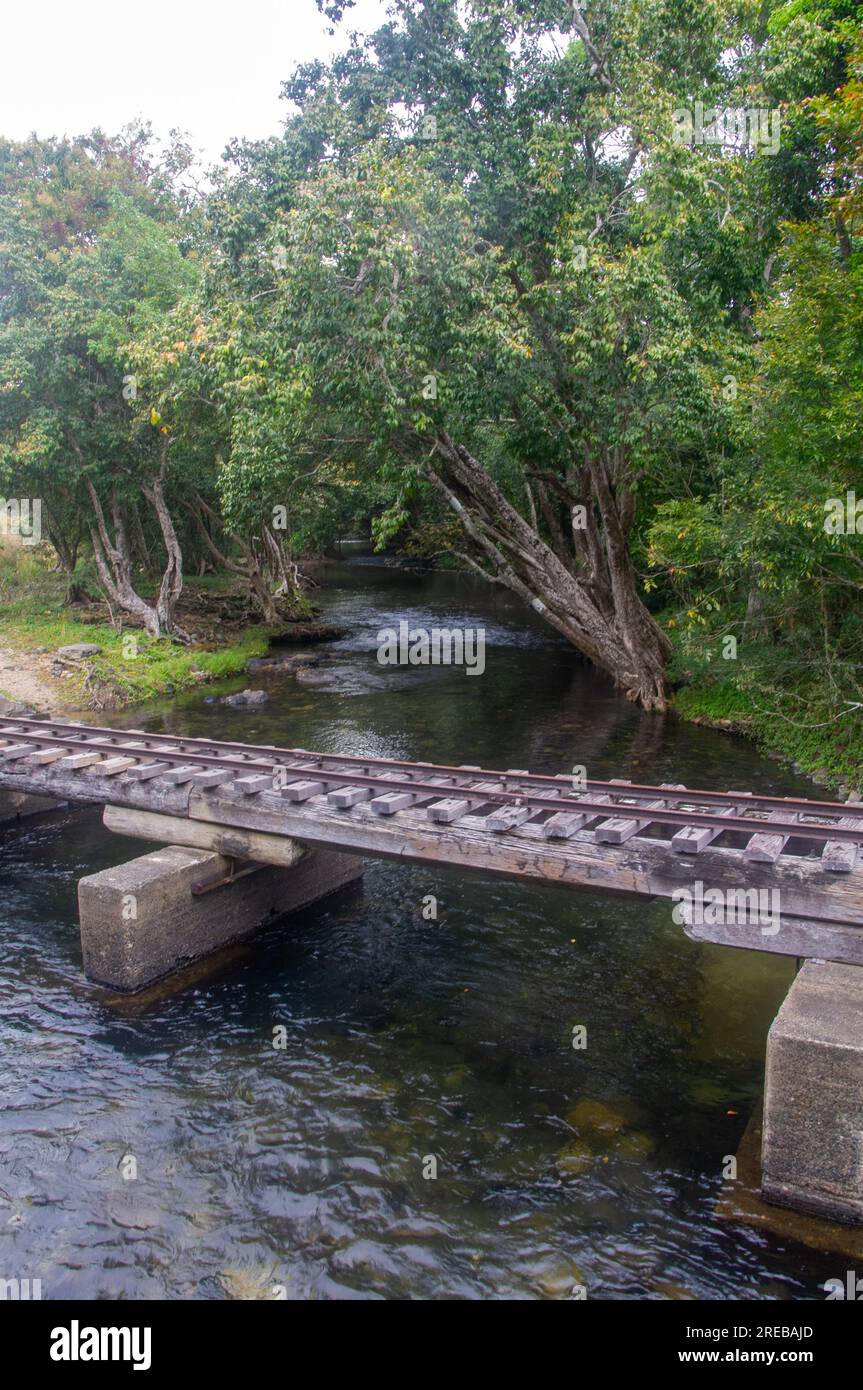 Little Mulgrave River, friedliche, von Bäumen gesäumte Flusslandschaft, mit Eisenbahnbrücke für Sugar Cane Transport, Cairns, Australien. Stockfoto