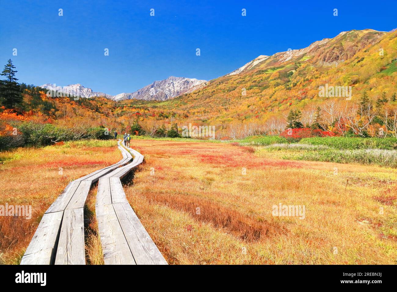 Tsugaike Nature Park und Hakuba Gebirgskette im Herbst Stockfoto