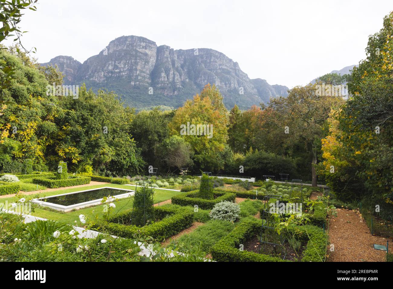 Wunderschöner Garten mit Pflanzen, Teich, Blumen und Bäumen in der Nähe der Berglandschaft, Kopierraum Stockfoto