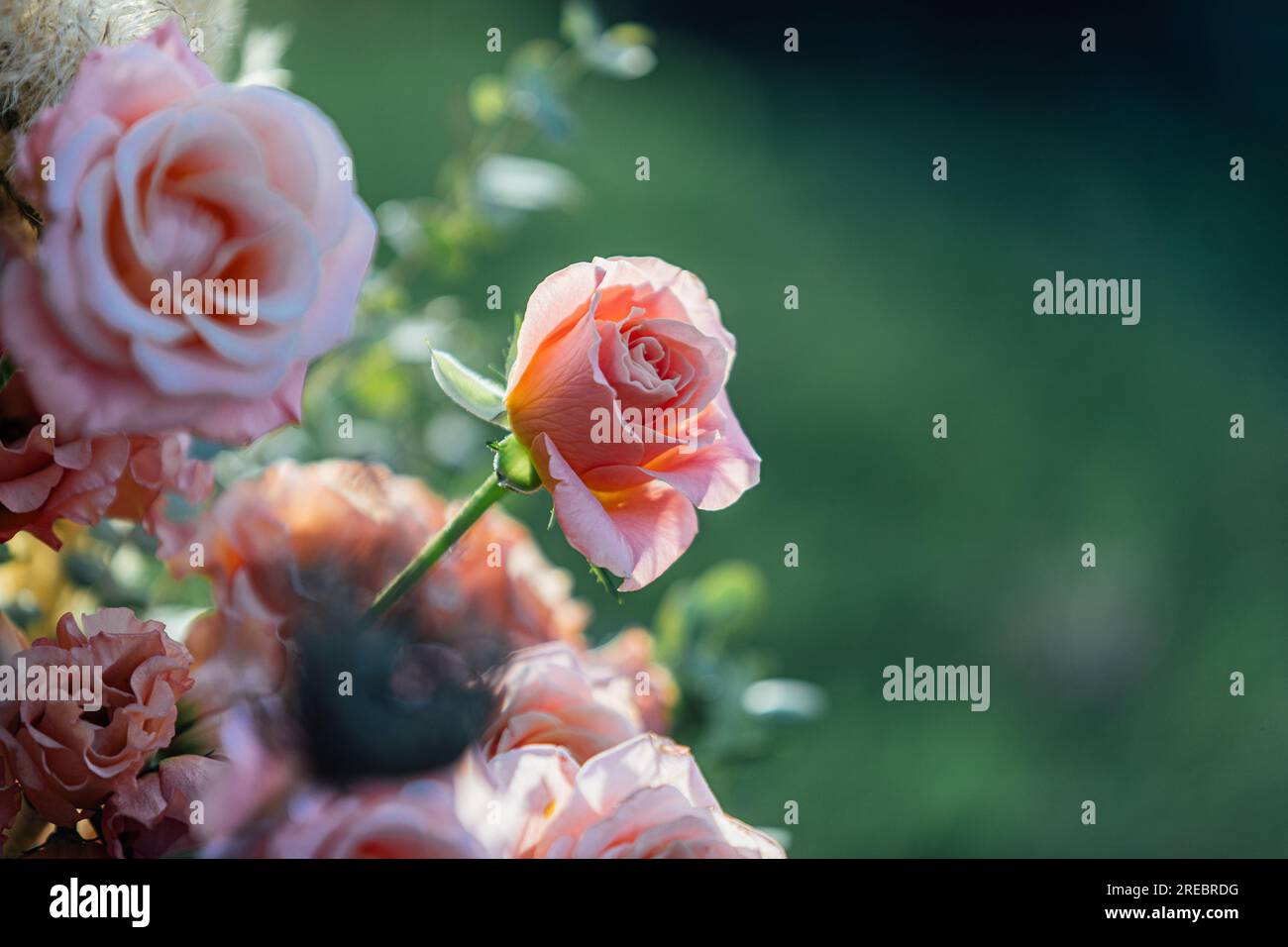 Hochzeit und Feier Blumen Arragmente für Hochzeiten und luxuriöse gesellschaftliche Veranstaltungen. Stockfoto