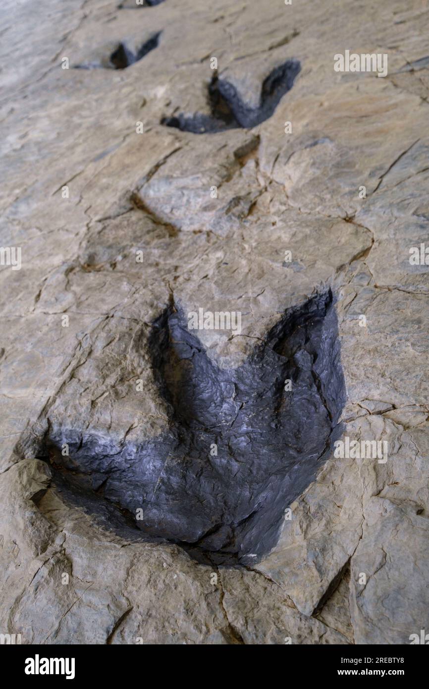 huellas de Dinosaurier, yacimiento de Los Cayos, Cornago, La Rioja , Spanien, Europa Stockfoto
