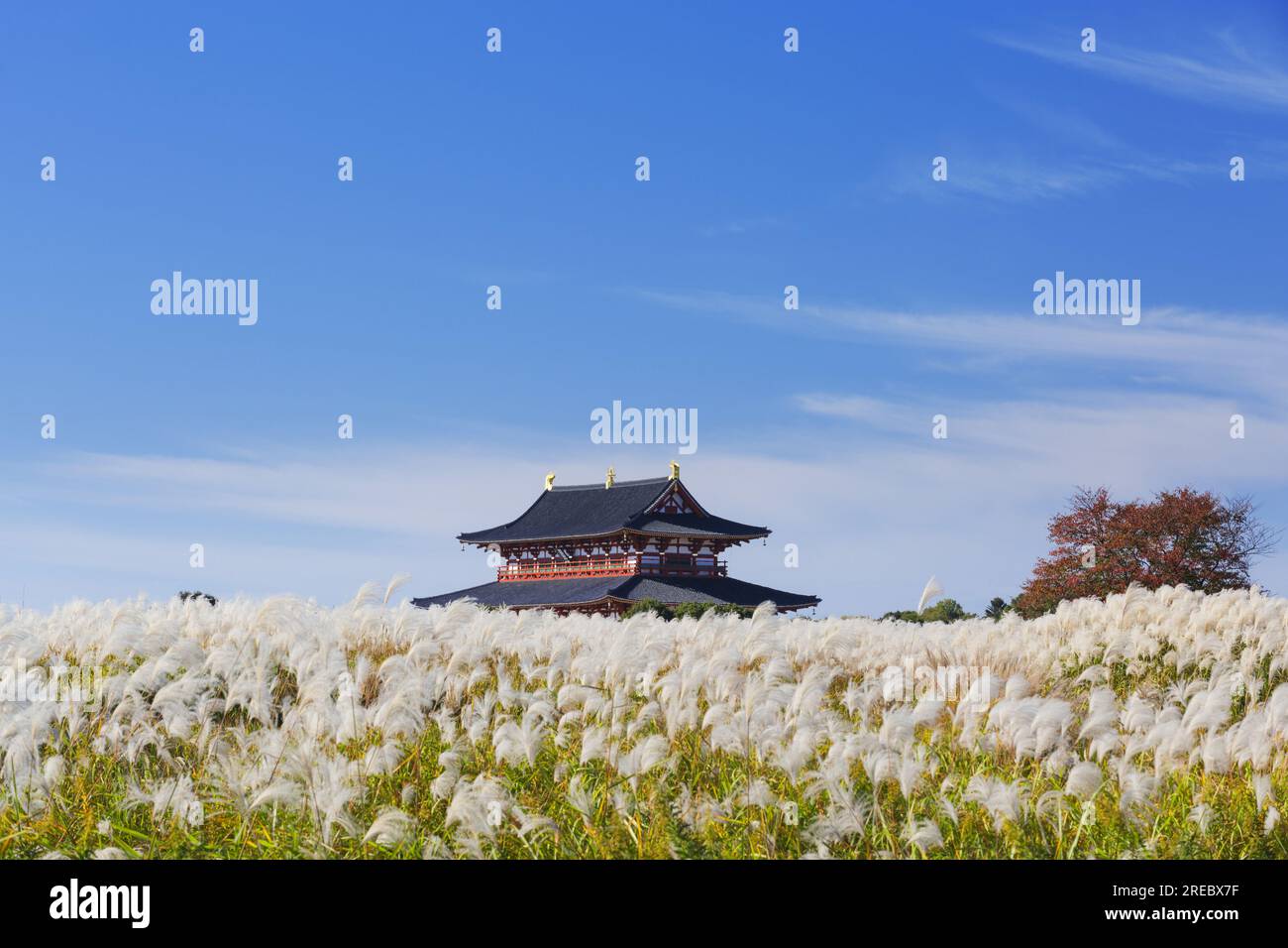 Nara-Palast Stockfoto