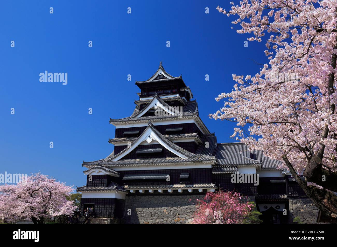 Kumamoto Castle Stockfoto