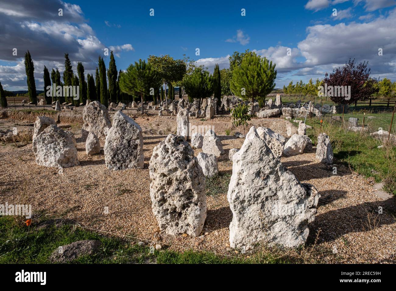 Vacceos-Grabstele, Nekropole von „Las Ruedas“, antike Vaccea-Stadt Pintia, Padilla de Duero, Provinz Valladolid, Spanien Stockfoto