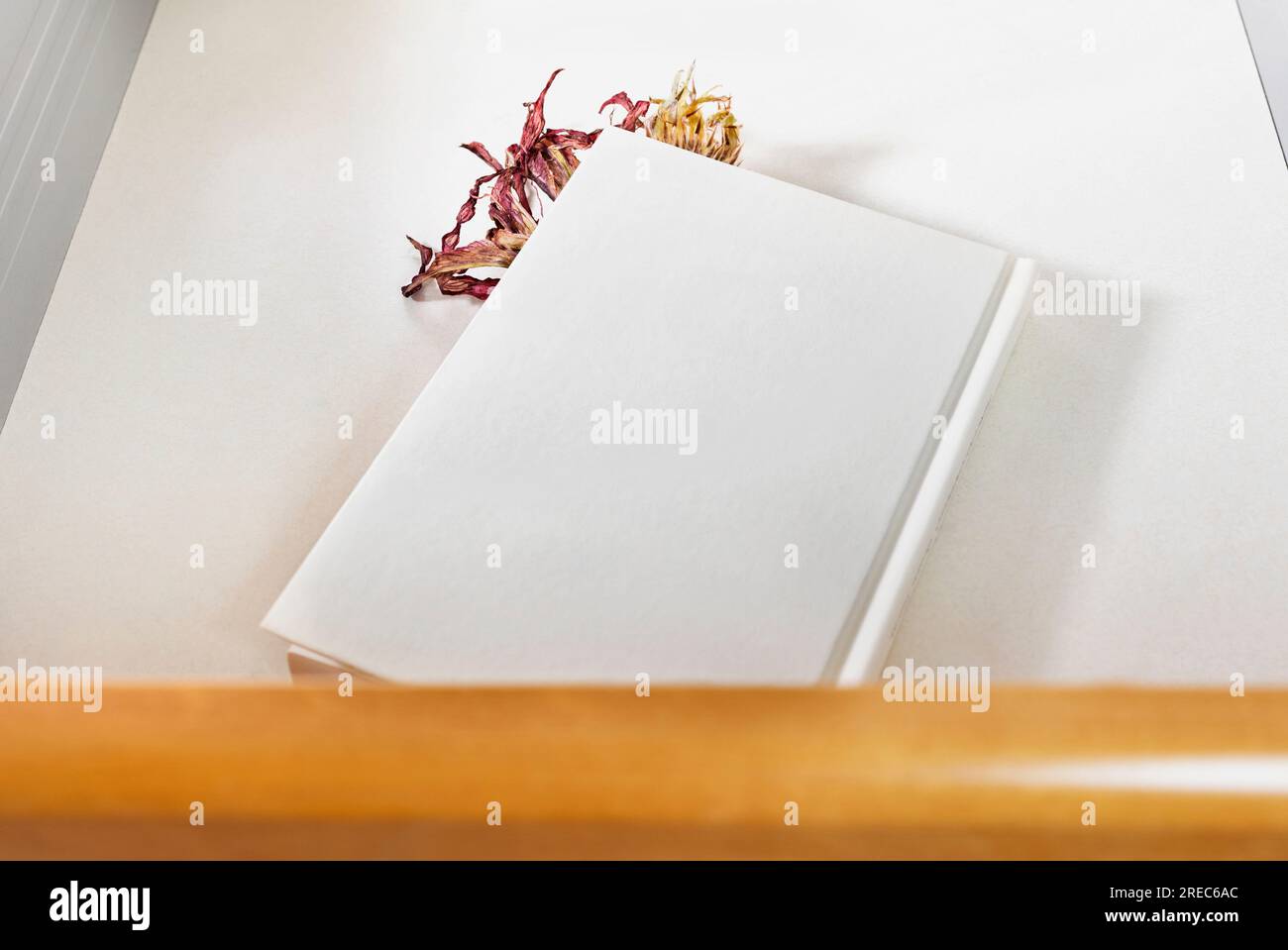 Geöffnete Schublade mit roter getrockneter Blume im Buch, Erinnerungen und romantische Aktivitäten Stockfoto