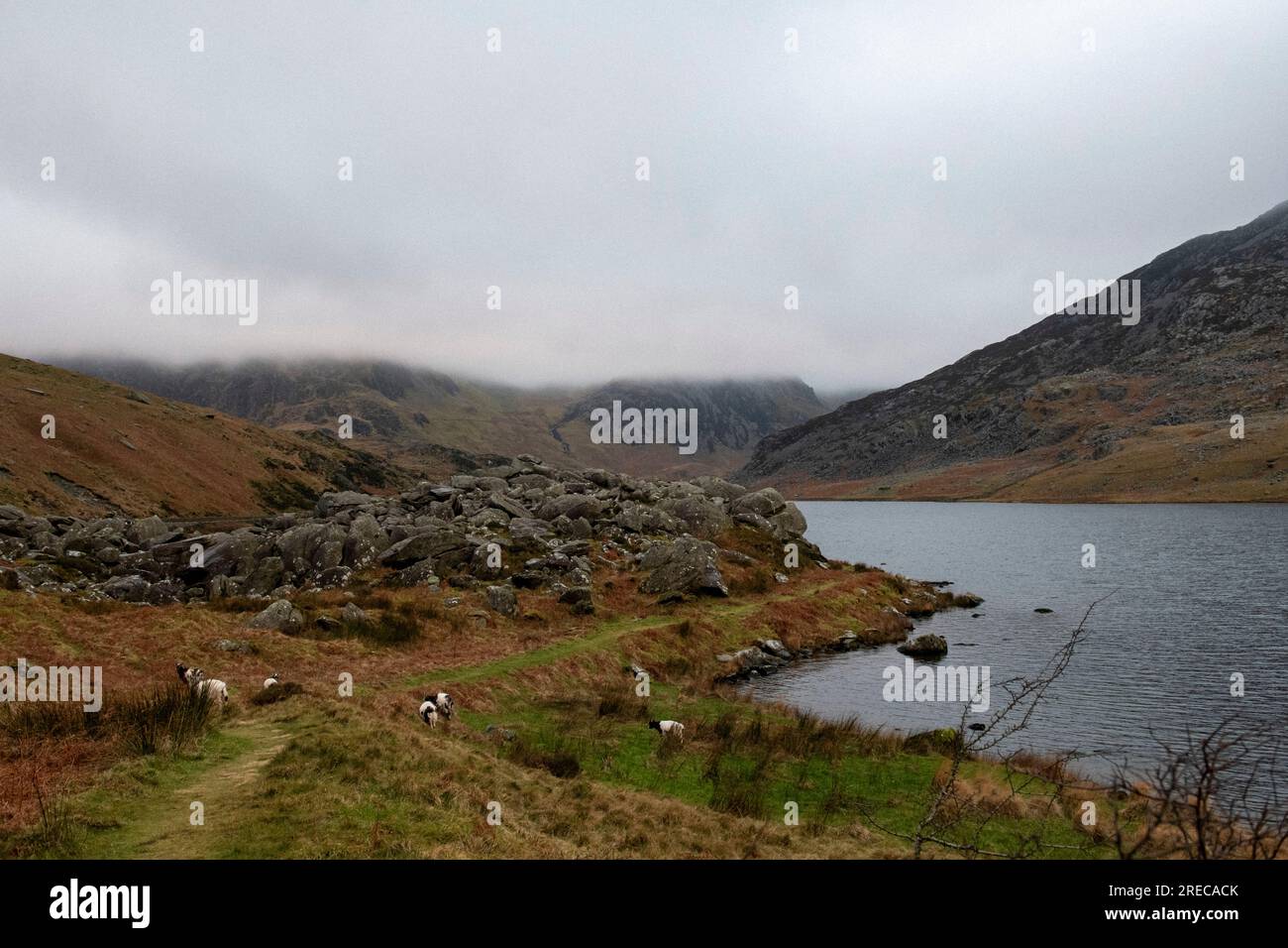 Snowdonia im Winter Stockfoto