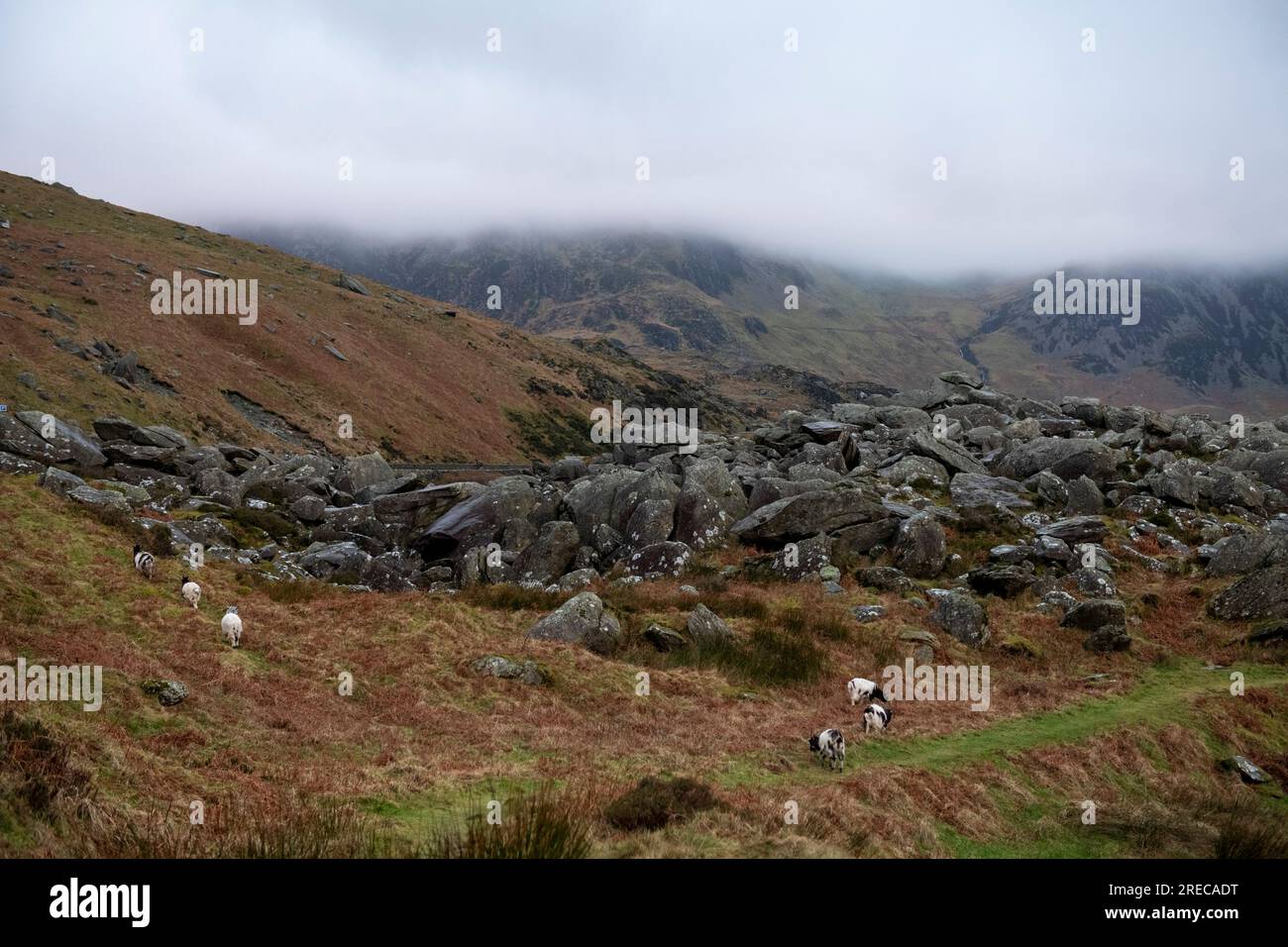 Snowdonia im Winter Stockfoto