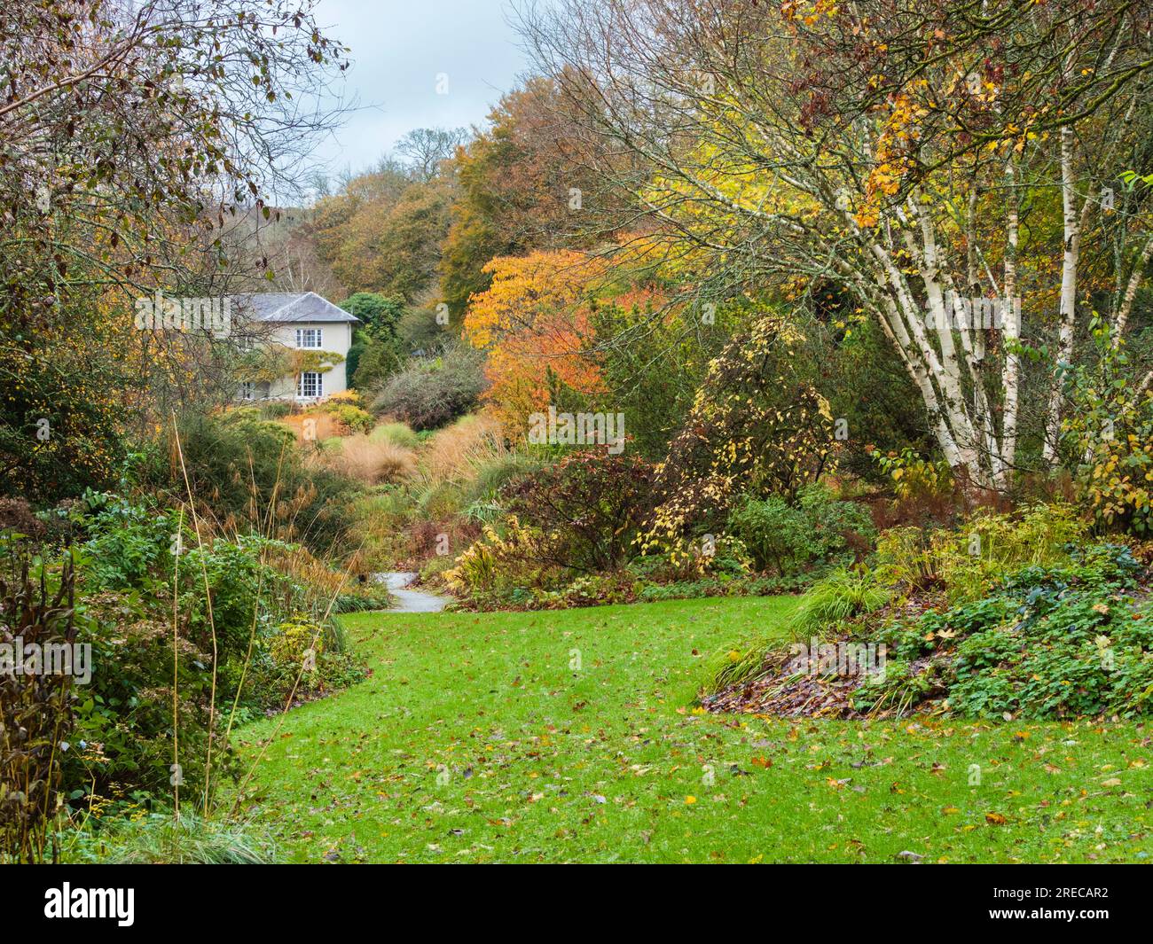 Herbstfarben mit Blick auf den langen Spaziergang im Garden House, Buckland monachorum, Devon, Großbritannien Stockfoto