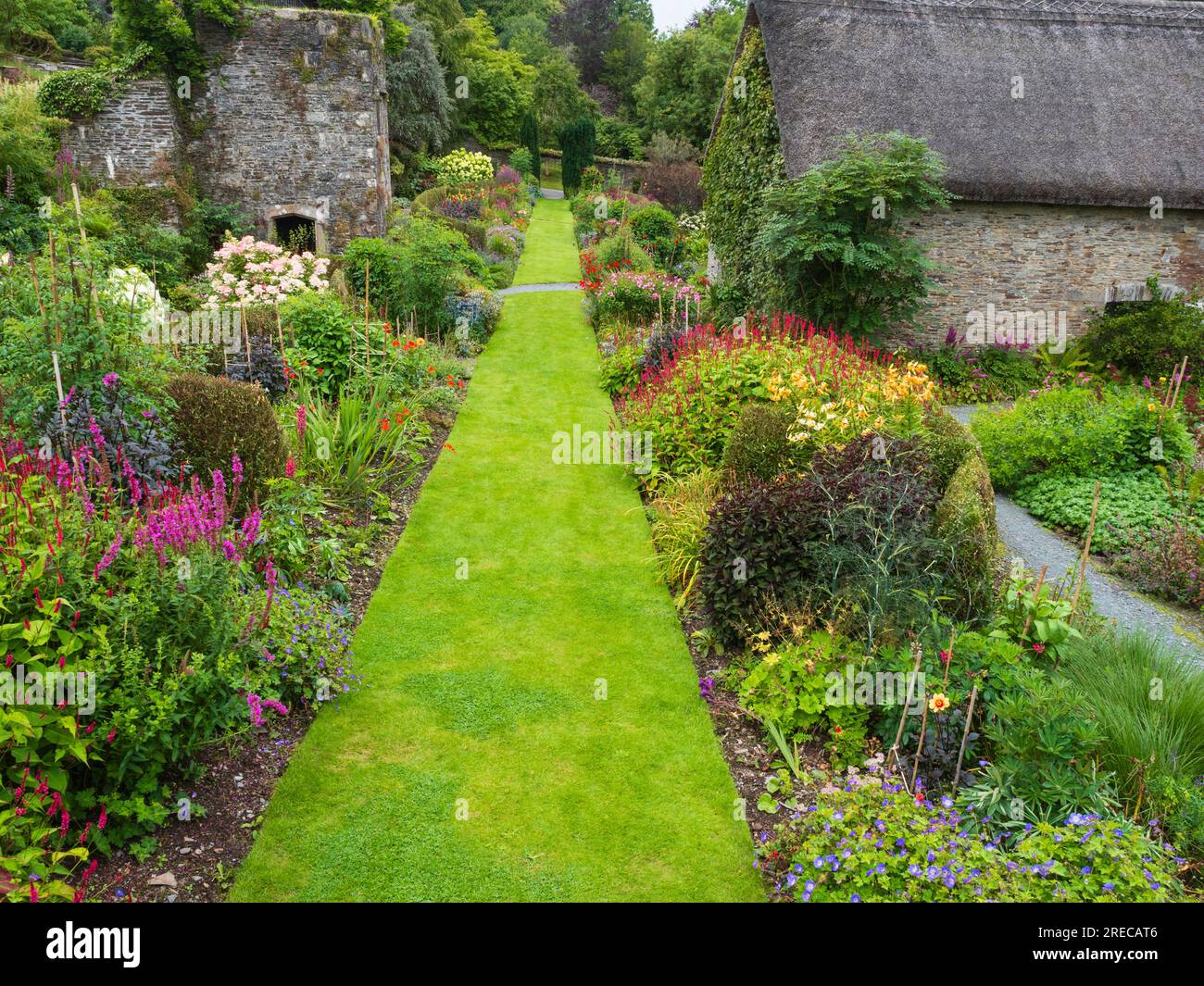 Erhöhte Aussicht auf den gemischten Strauß und die mehrjährigen Grenzen im ummauerten Garten des Garden House, Buckland monachorum, Devon, Großbritannien Stockfoto
