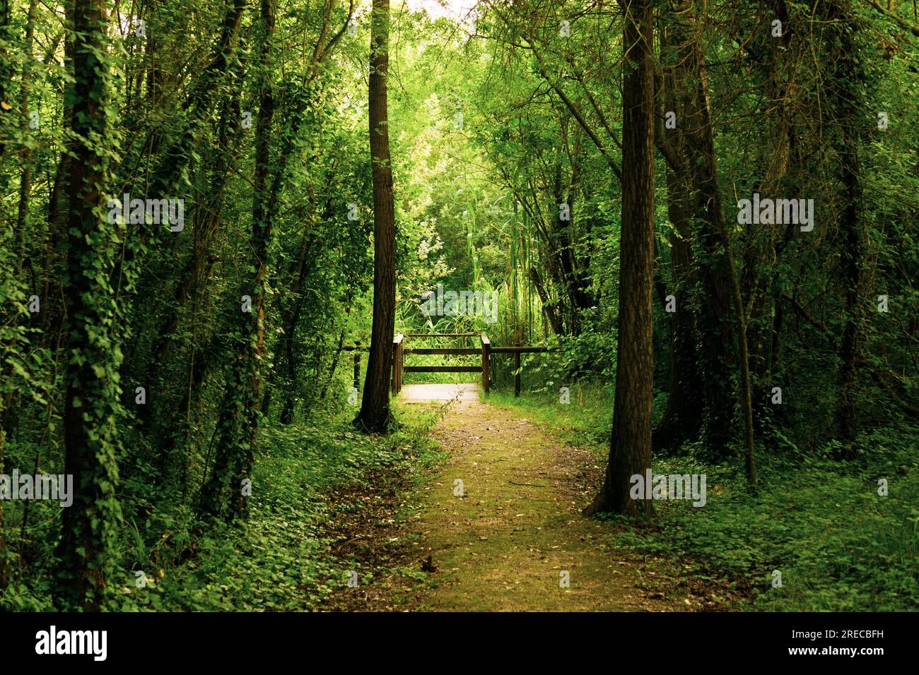 Banyoles, Pla de l'Estany, Katalonien, Spanien. Juli 2023 Stockfoto
