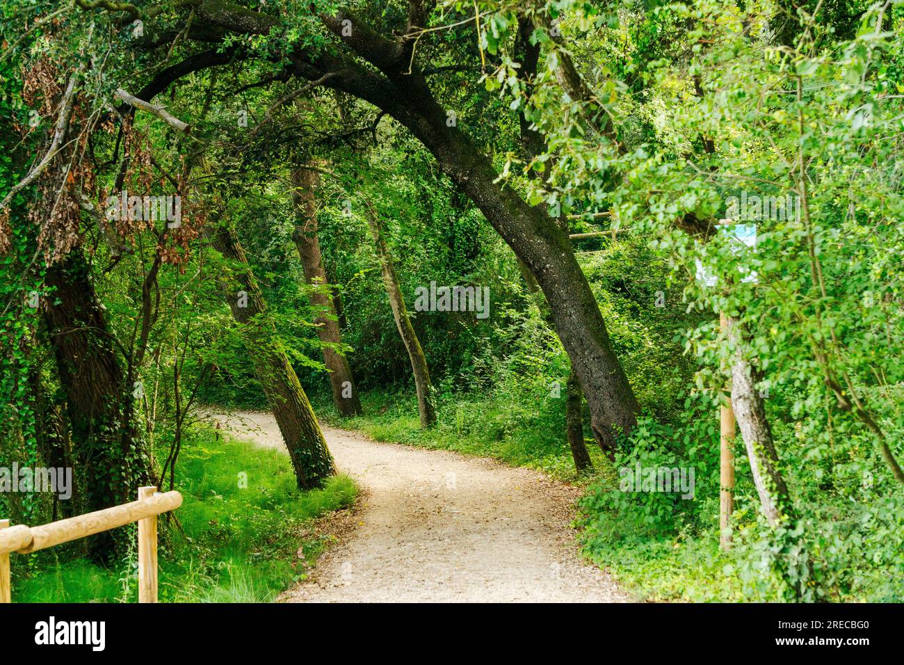 Banyoles, Pla de l'Estany, Katalonien, Spanien. Juli 2023 Stockfoto