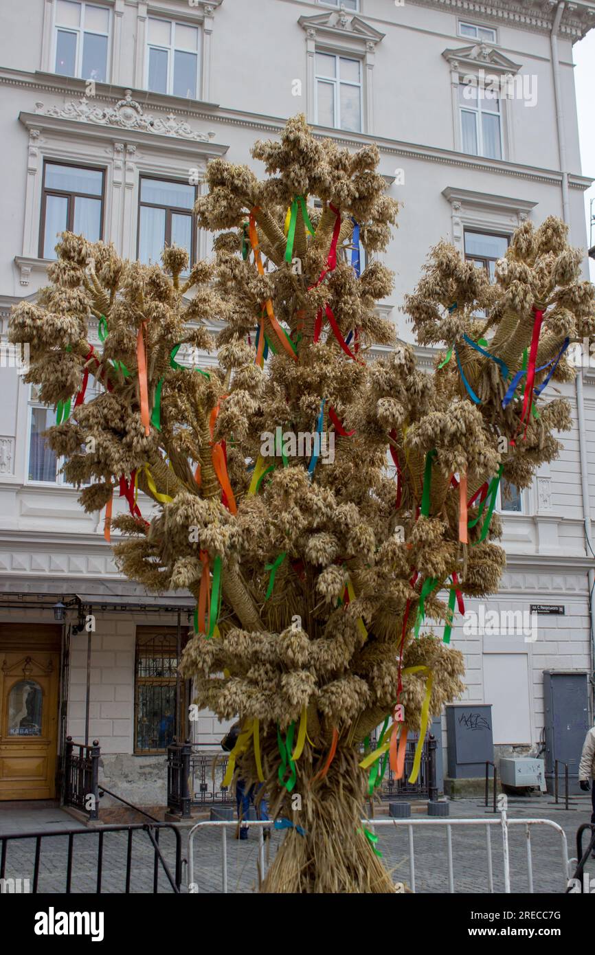 Symbol ukrainischer Weihnachten im Zentrum von Lemberg Stockfoto