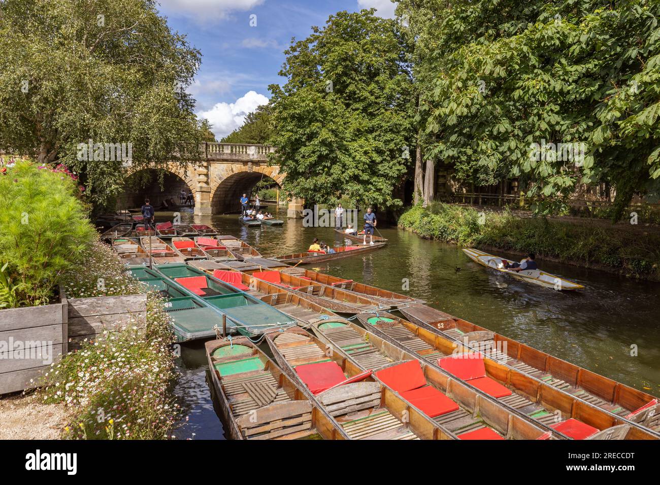 Touristen, die im Fluss Cherwell neben dem Botanischen Garten von Oxford und der Magdalen Bridge, Oxfordshire, England fahren Stockfoto