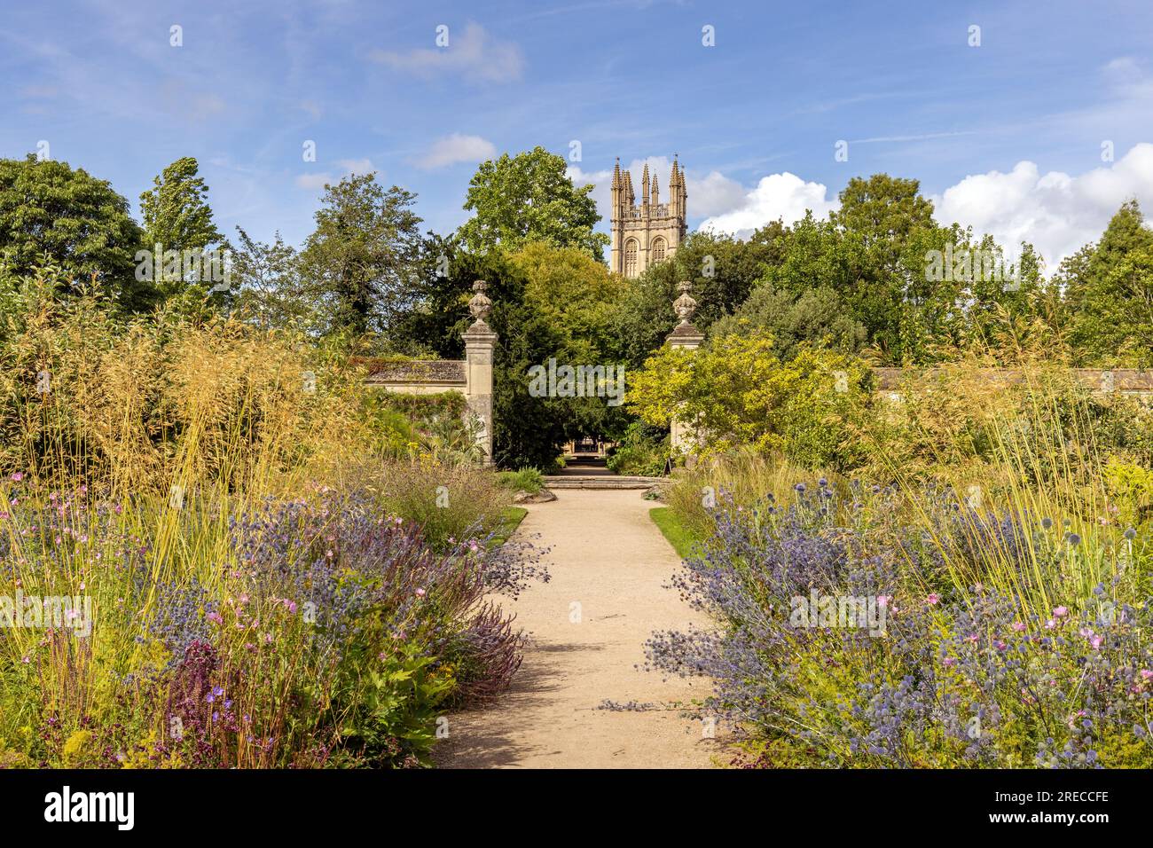 Pfad und Garten in den Oxford Bottanic Gardens, Oxford, Oxfordshire, England Stockfoto