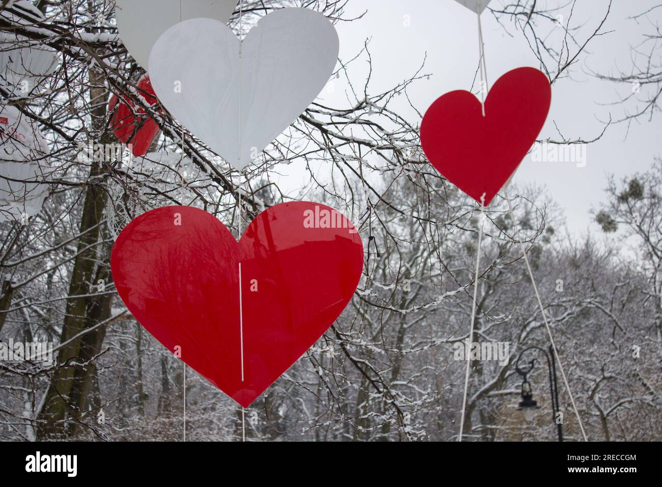 Geschmückte Bäume mit Herzen am Tag des heiligen valentins im Winter Stockfoto