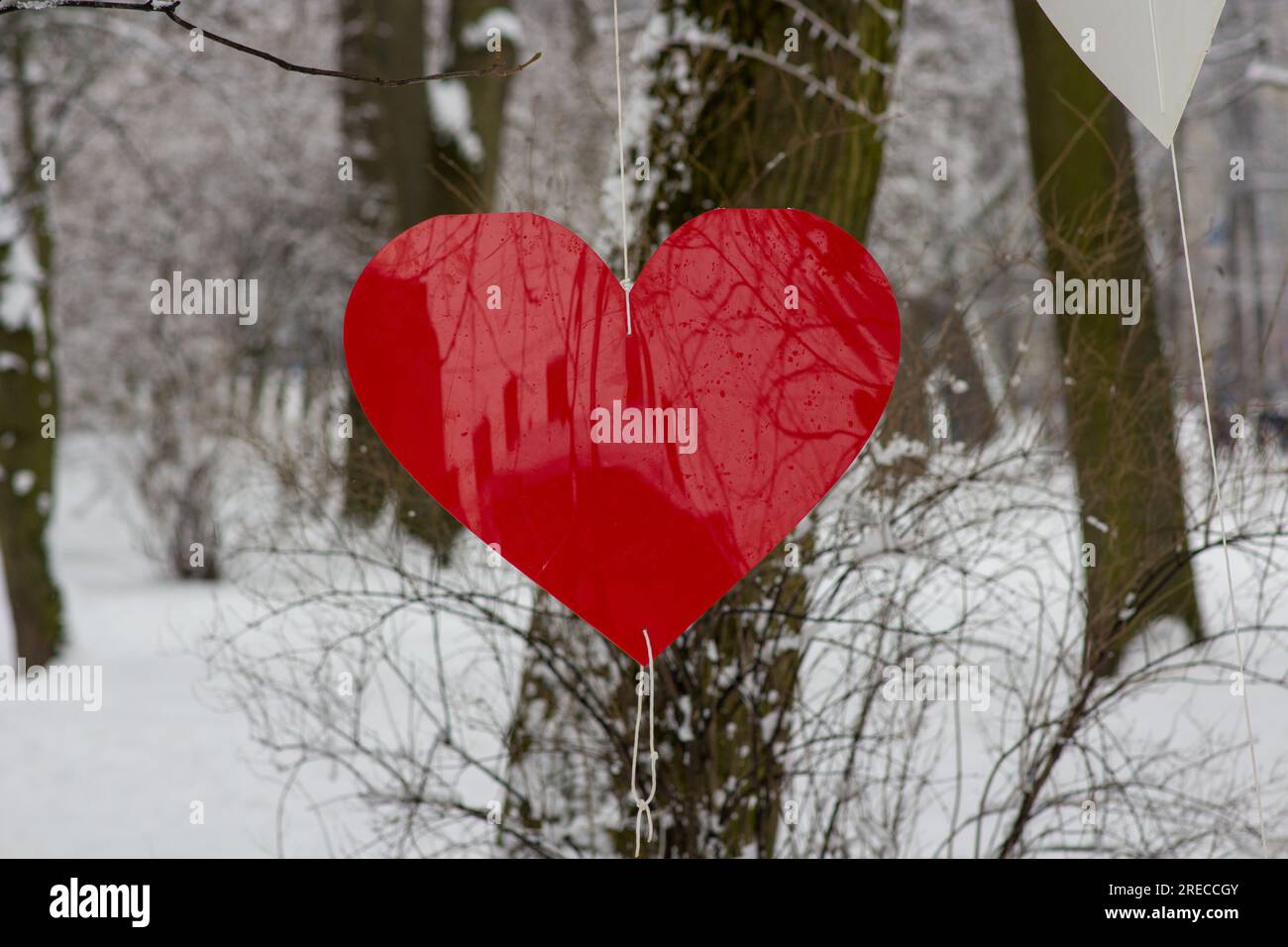 Ein Herz im Winter auf einem Baum am Tag der Liebenden Stockfoto