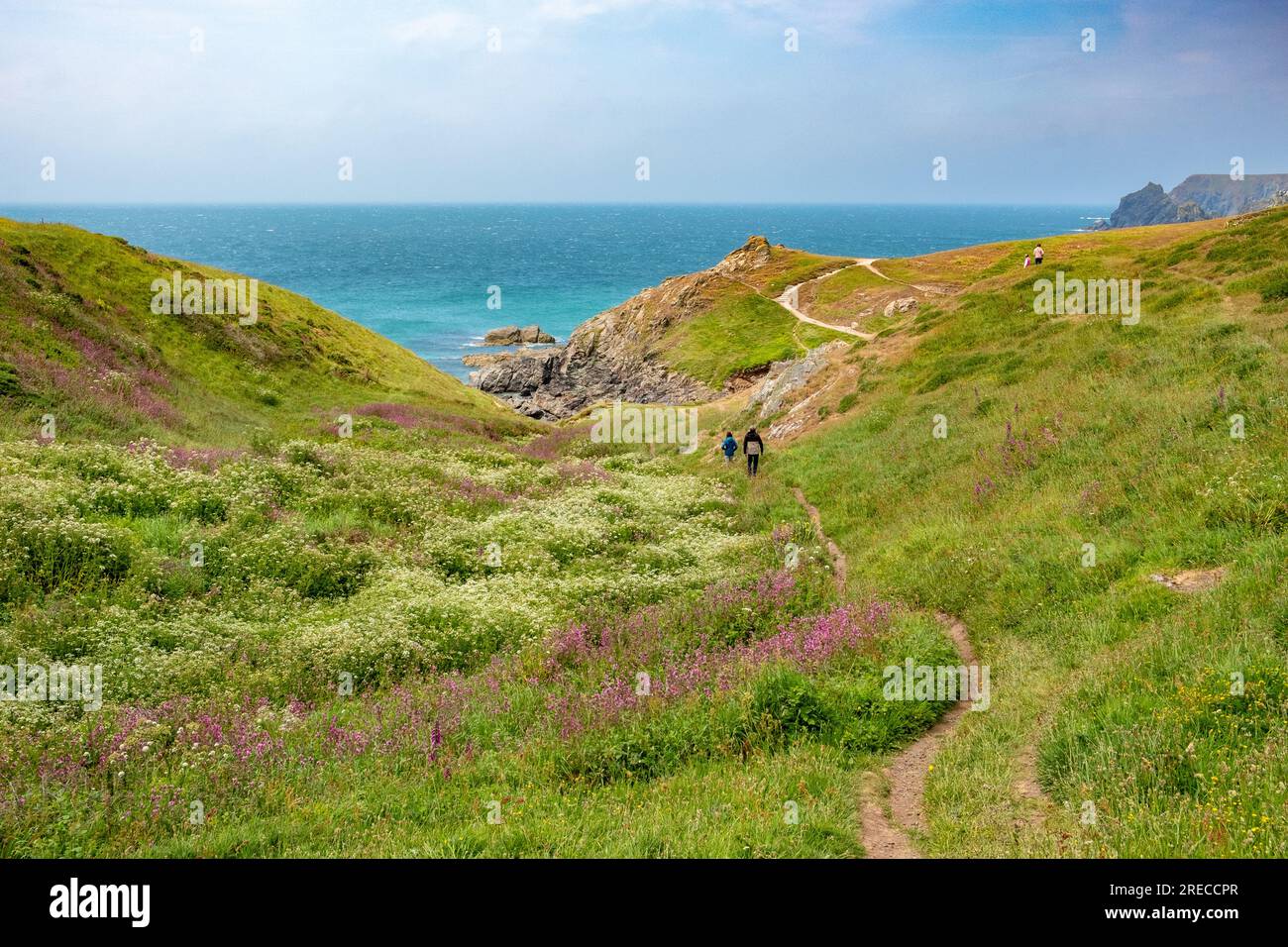 Südwestküste Pfad, Helston, Großbritannien Stockfoto