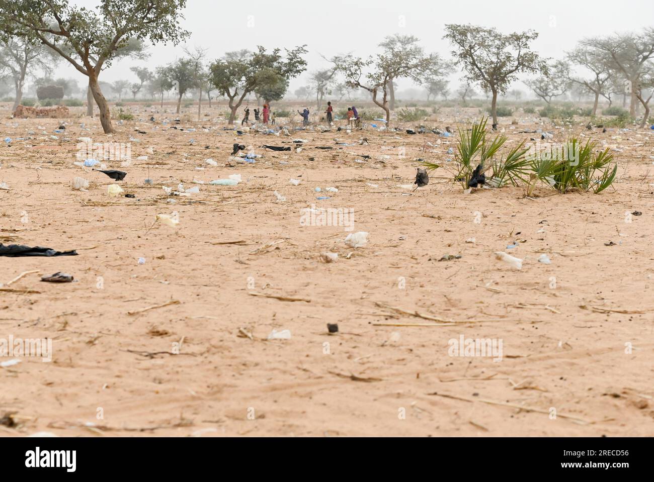 NIGER, Sahel-Region, Maradi, Dorf Dan Bako, Plastikmüll, der am Wind vorbeifliegt / Wehender Plastikmüll Stockfoto