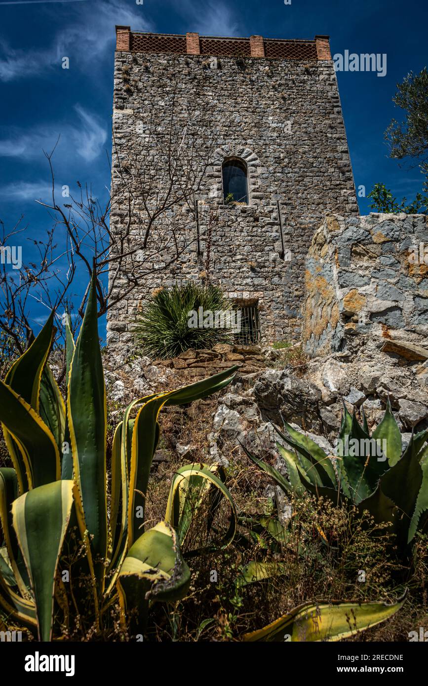 Alter Turm in der var, provence, La revest les Eaux, frankreich, mit Muktus im Vorgarten. Stockfoto