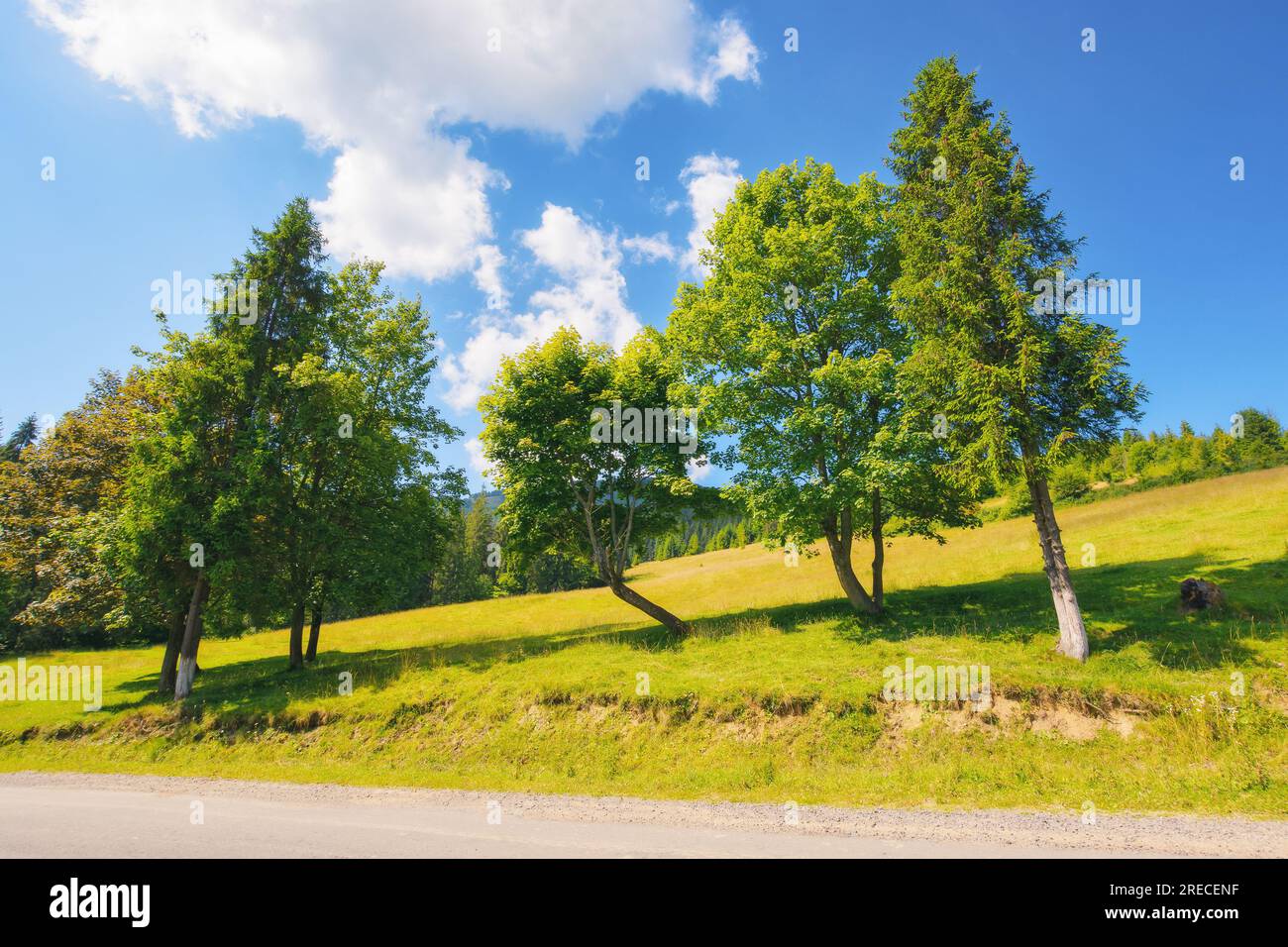 Friedliche Sommerlandschaft, umgeben von grünen Hügeln. Die Straße verläuft durch die ländliche Landschaft. Malerischer Blick auf den friedlichen karpaten-Morgen Stockfoto