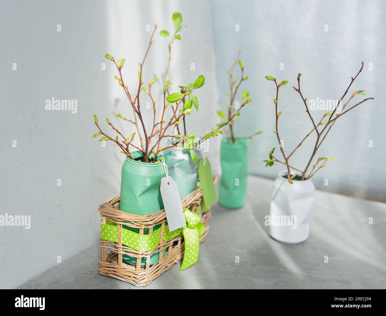 Wiederverwendete Zinndosen mit Pflanzen, kein Abfall im Haushalt, Recycling, ökologische Gartenarbeit Stockfoto