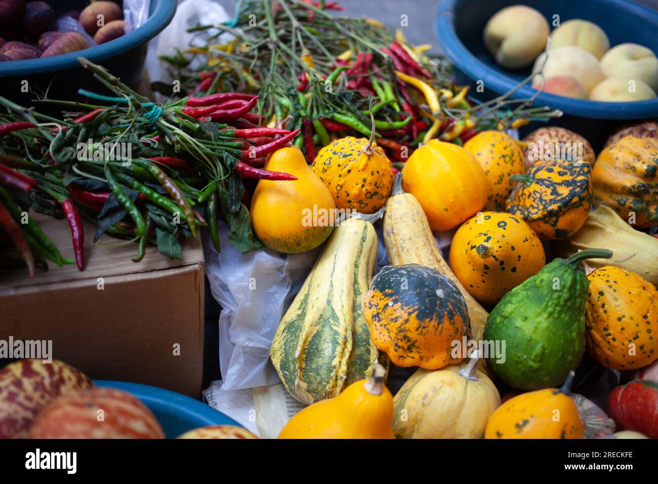 Kürbisse und Pfeffer auf einem Bauernmarkt. Stillleben mit farbenfrohem Gemüse Stockfoto