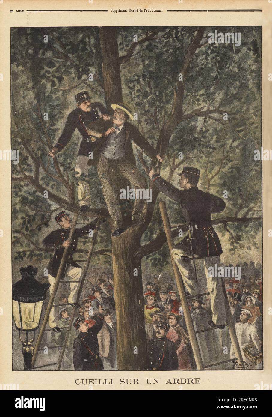 UN Taschendieb Trouve Zuflucht dans un arbre pour echapper a la Police, Mais Sohn butin glisse de ses poches Revelant sa cachette. Gravure in "Le Petit Journal" 891901. . Stockfoto