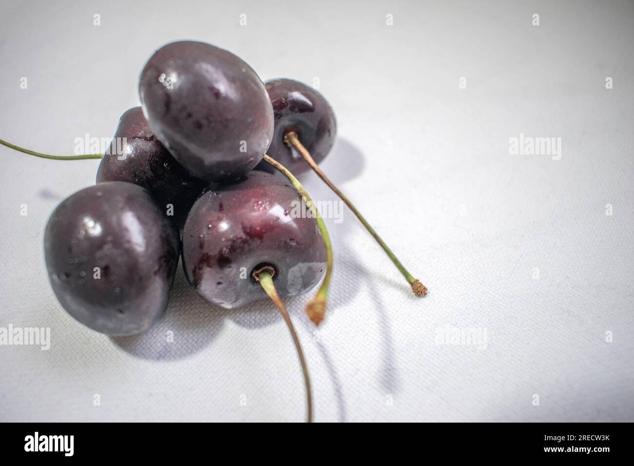 Black Cherry: Ein eindrucksvolles Bild mit einer dunklen schwarzen Kirsche auf einem strahlend weißen Hintergrund, das ein optisch ansprechendes und auffälliges Kont Stockfoto