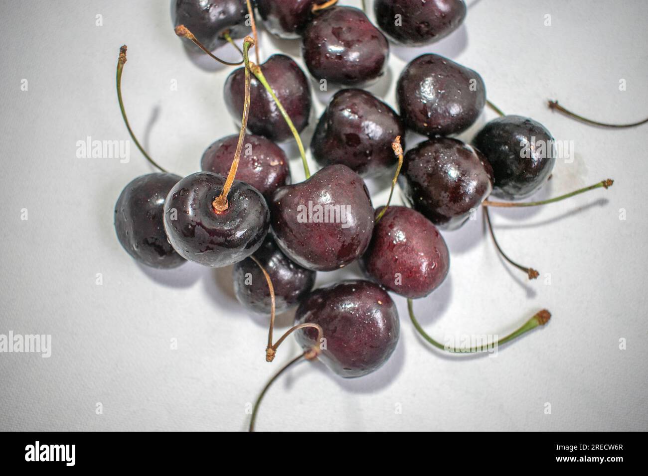 Black Cherry: Ein eindrucksvolles Bild mit einer dunklen schwarzen Kirsche auf einem strahlend weißen Hintergrund, das ein optisch ansprechendes und auffälliges Kont Stockfoto