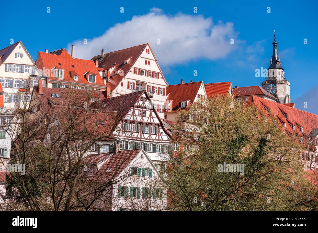 Tübingen Altstadt mit Schloss Stockfoto