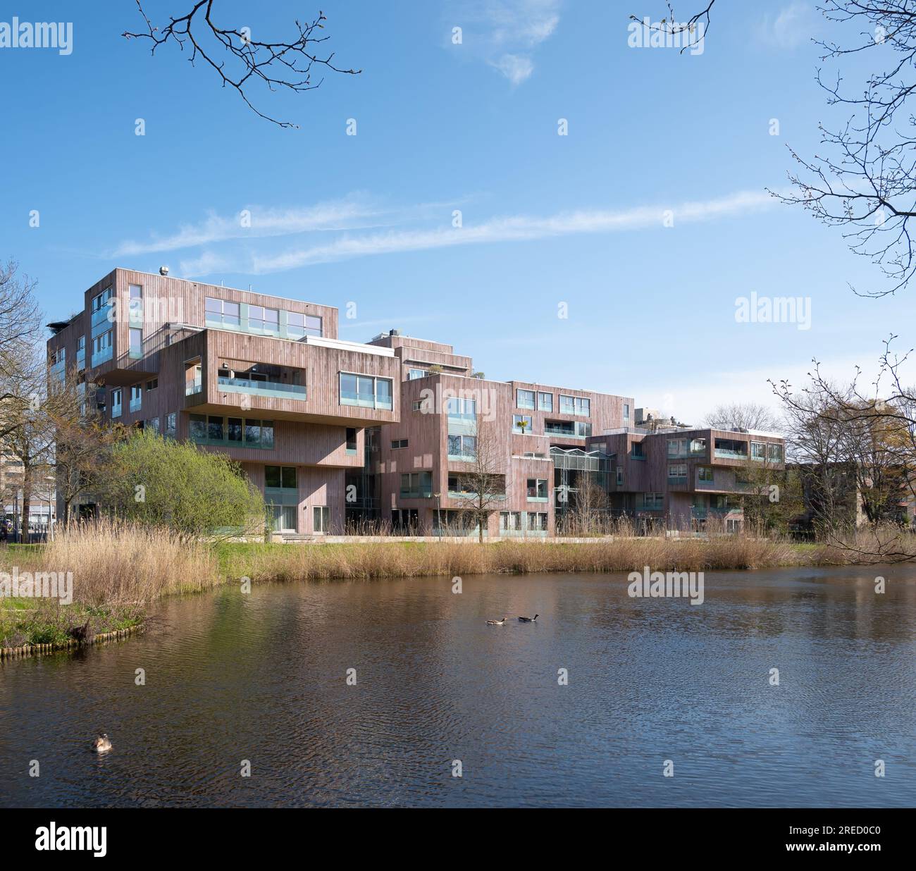 Amsterdam, Niederlande - Crystal Court Housing von Tangram Architekten Stockfoto