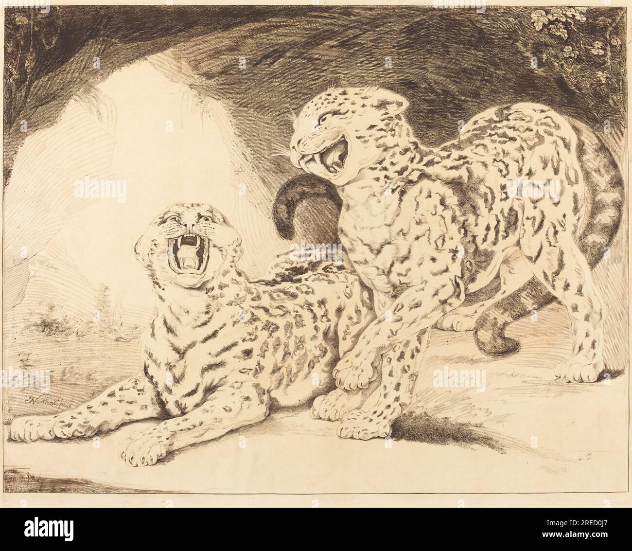 "Samuel William Reynolds, ich nach James Northcote, Leoparden, 1798, Ätzen, Stipeln, Und Roulette-Arbeiten auf liegendem Papier [erste Prüfung], Platte: 48,1 x 60,3 cm (18 15/16 x 23 3/4 Zoll) Blatt: 51,9 x 70,3 cm (20 7/16 x 27 11/16 Zoll), Gaillard F. Ravenel und Frances P. Smyth-Ravenel Fund, 2002.65.4' Stockfoto