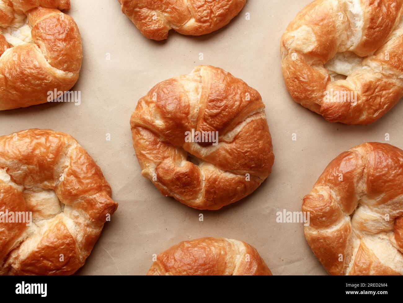 Frische und leckere Croissants, flach liegend. Stockfoto