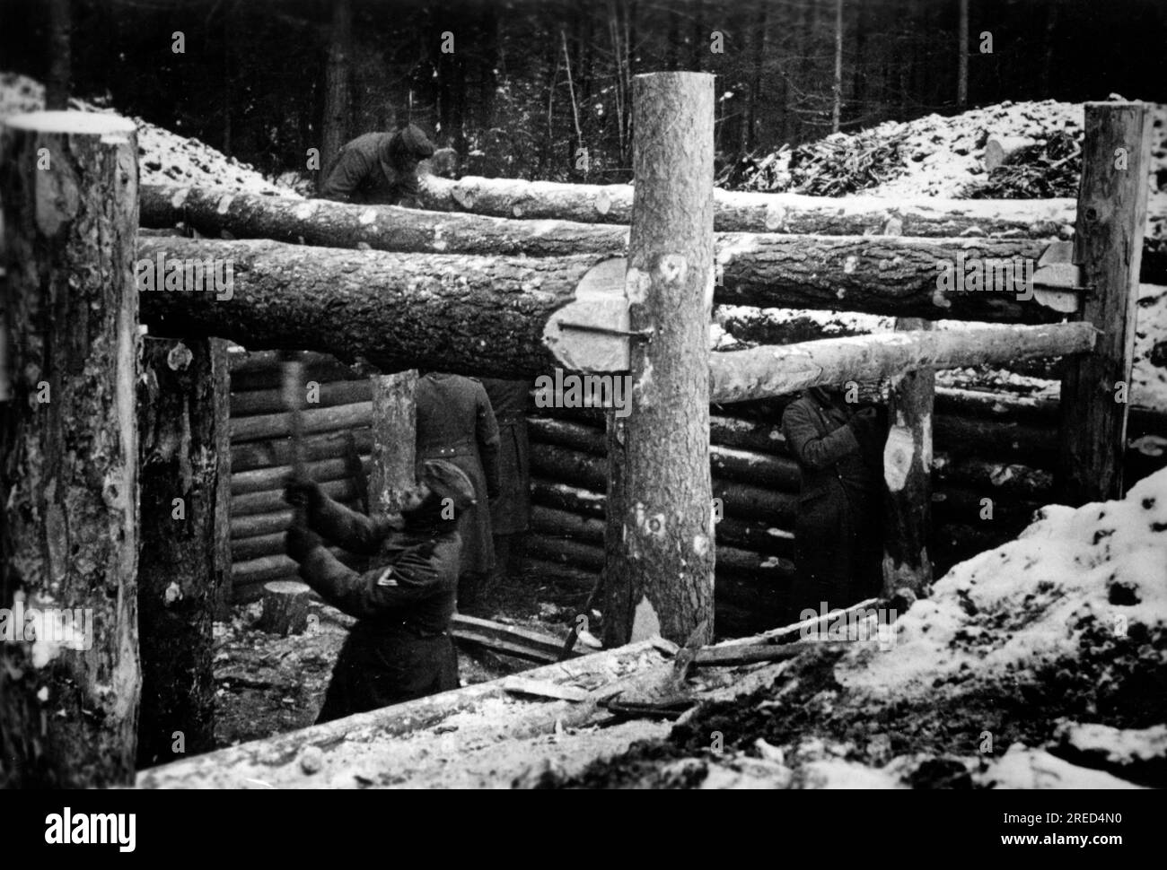 Deutsche Soldaten bauen einen Unterschlupf nahe Makorovo an der Ostfront. Foto: Plenik. [Maschinelle Übersetzung] Stockfoto