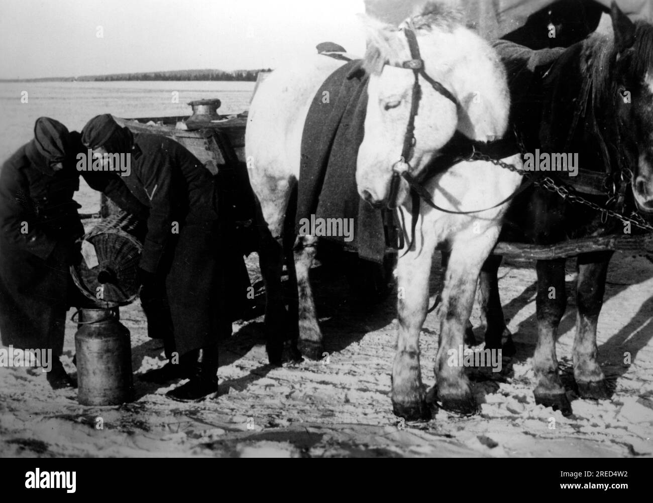 Während des deutschen Angriffs auf Moskau im zentralen Teil der Ostfront füllen Soldaten Rum in einen Krug in einer Rationsstation. Foto: Gebauer. [Maschinelle Übersetzung] Stockfoto