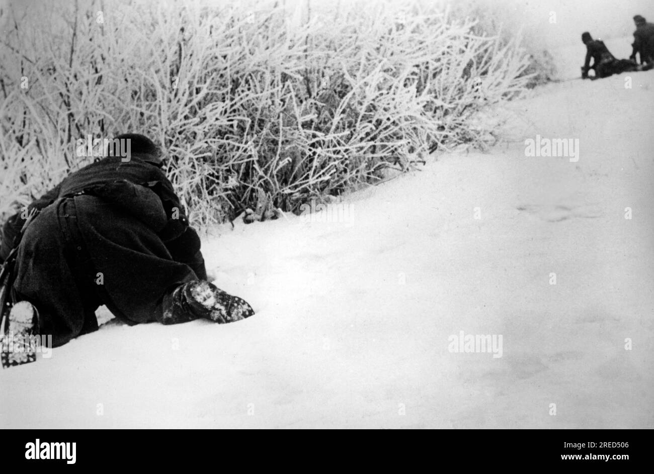 Deutsche Soldaten nahmen Schutz vor russischen Feuern in der Gegend von Tim bei Kursk. Foto: Erich Bauer. [Maschinelle Übersetzung] Stockfoto