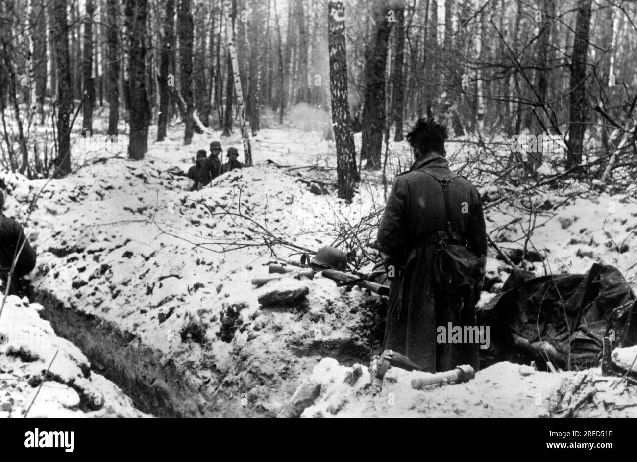 Deutsche Soldaten in provisorischer Position in einem bewaldeten Gebiet, wahrscheinlich in der Mitte der Ostfront. Foto: Cusian. [Maschinelle Übersetzung] Stockfoto