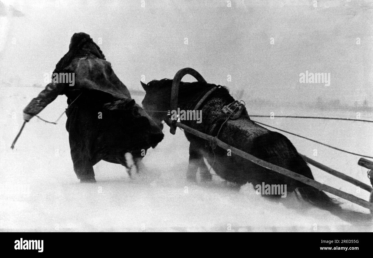 Ein Soldat kämpft mit seinem Pferdeschlitten durch den tiefen Schnee im Winter an der Ostfront. Unbezahltes Foto. [Maschinelle Übersetzung] Stockfoto