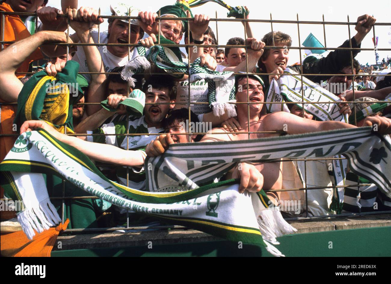 FB EM 1988 / England - Irland 0:1 / irische Fans , Fans , Zuschauer [automatisierte Übersetzung] Stockfoto