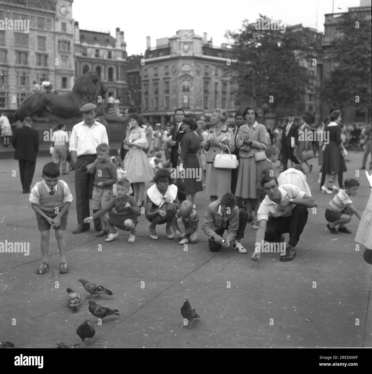 Blick auf London in den 1950er : Trafalgar Square . Im Vordergrund: Passanten füttern Tauben 03.08.1959 [maschinelle Übersetzung] Stockfoto