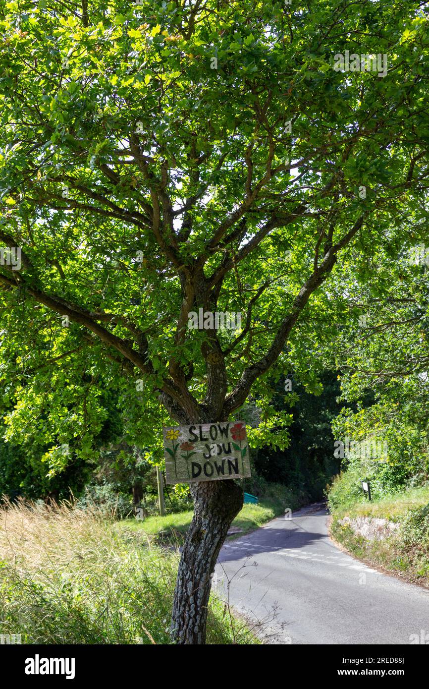Ein hausgemachtes Schild mit der Aufschrift „langsam machen“, das an einem Baum am Straßenrand in der Landschaft von Norfolk befestigt ist Stockfoto