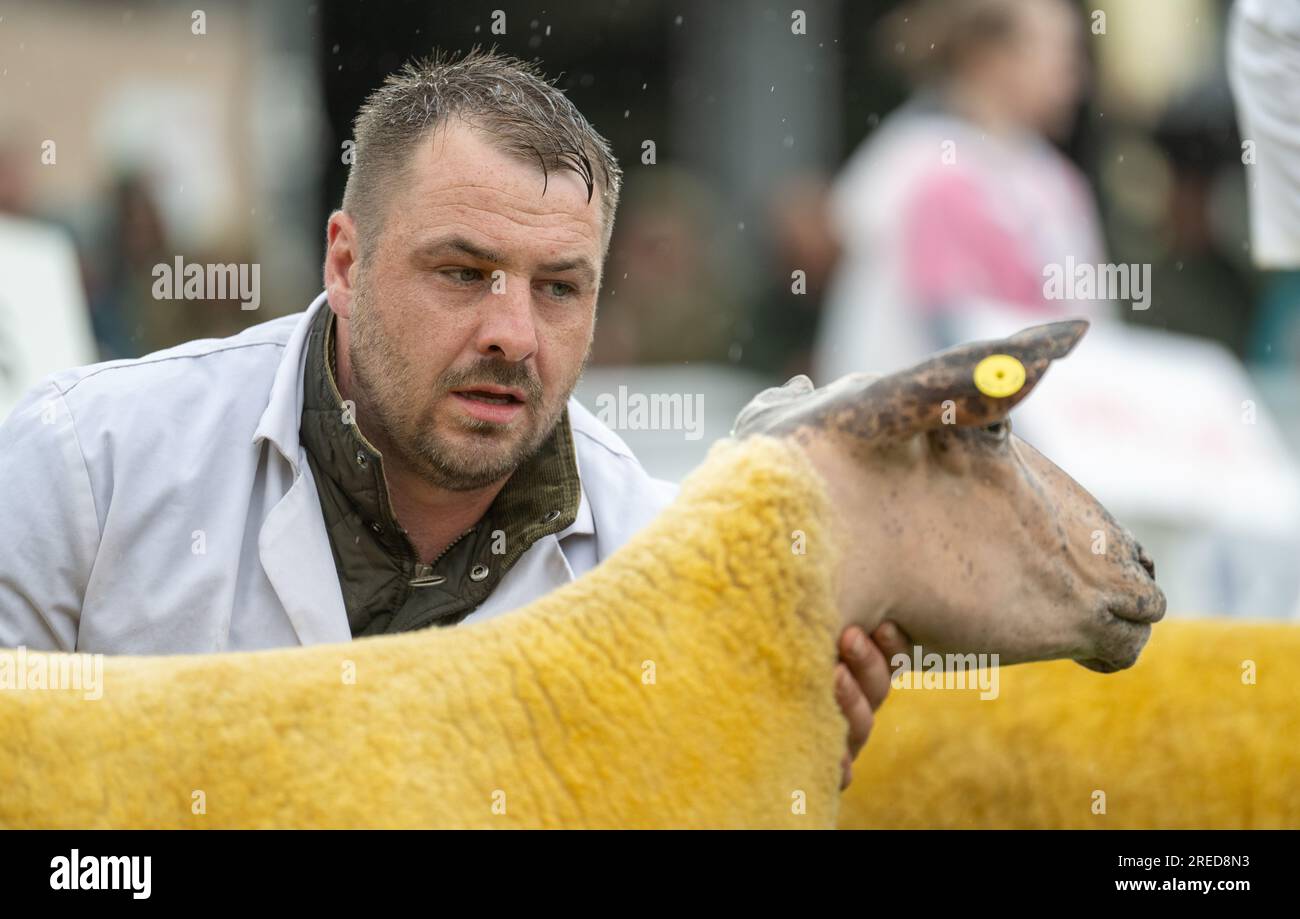 Bauern zeigen ihre Schafe im Regen auf der Royal Welsh Show 2023. Stockfoto