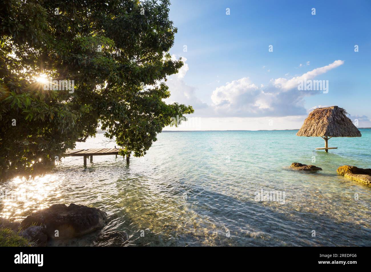 Wunderschöne Landschaft am Laguna Bacalar in Mexiko Stockfoto