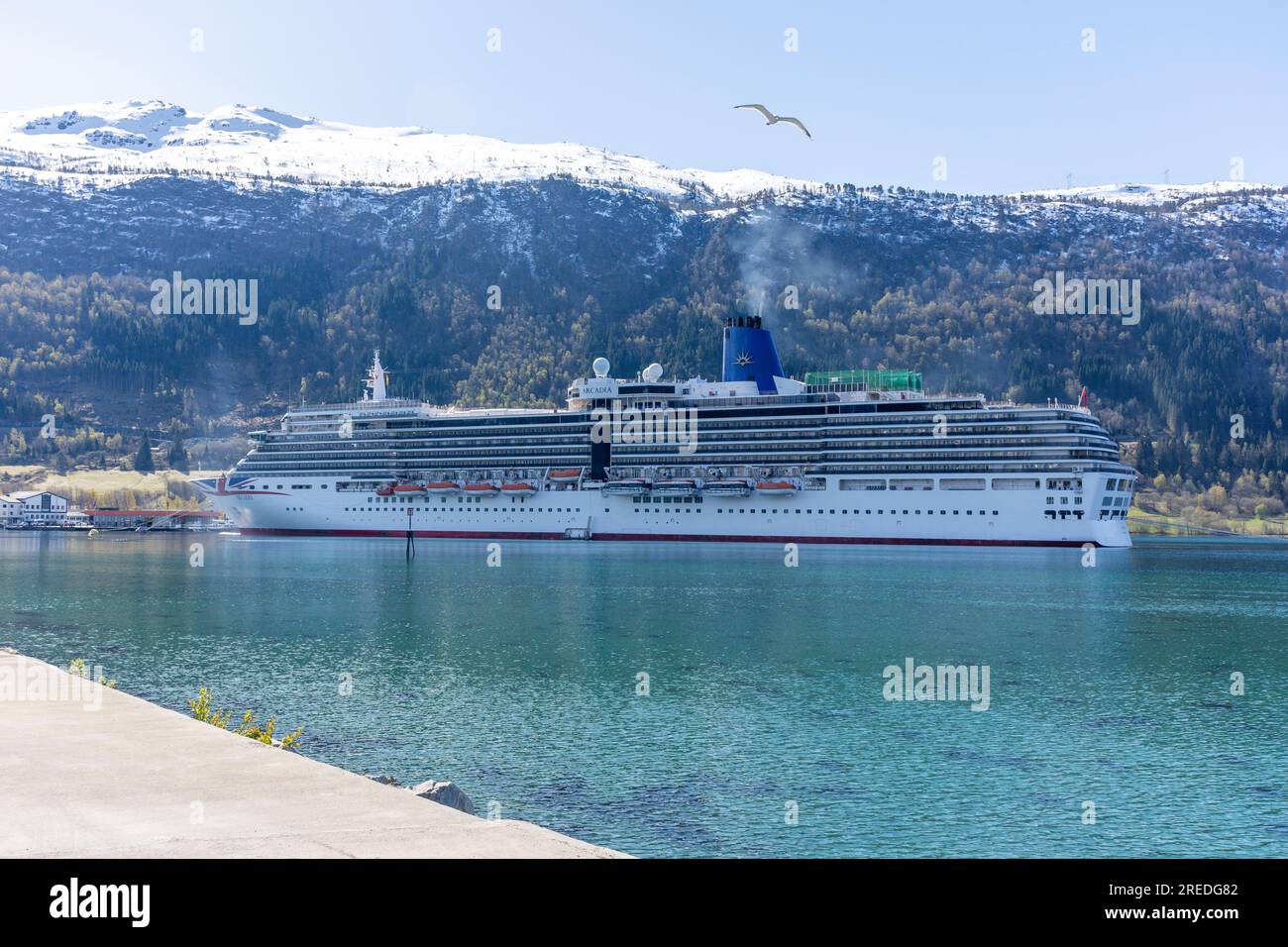 P&O Arcadia Kreuzfahrtschiff, angelegt in Nordfjordeid, Vestland County, Norwegen Stockfoto