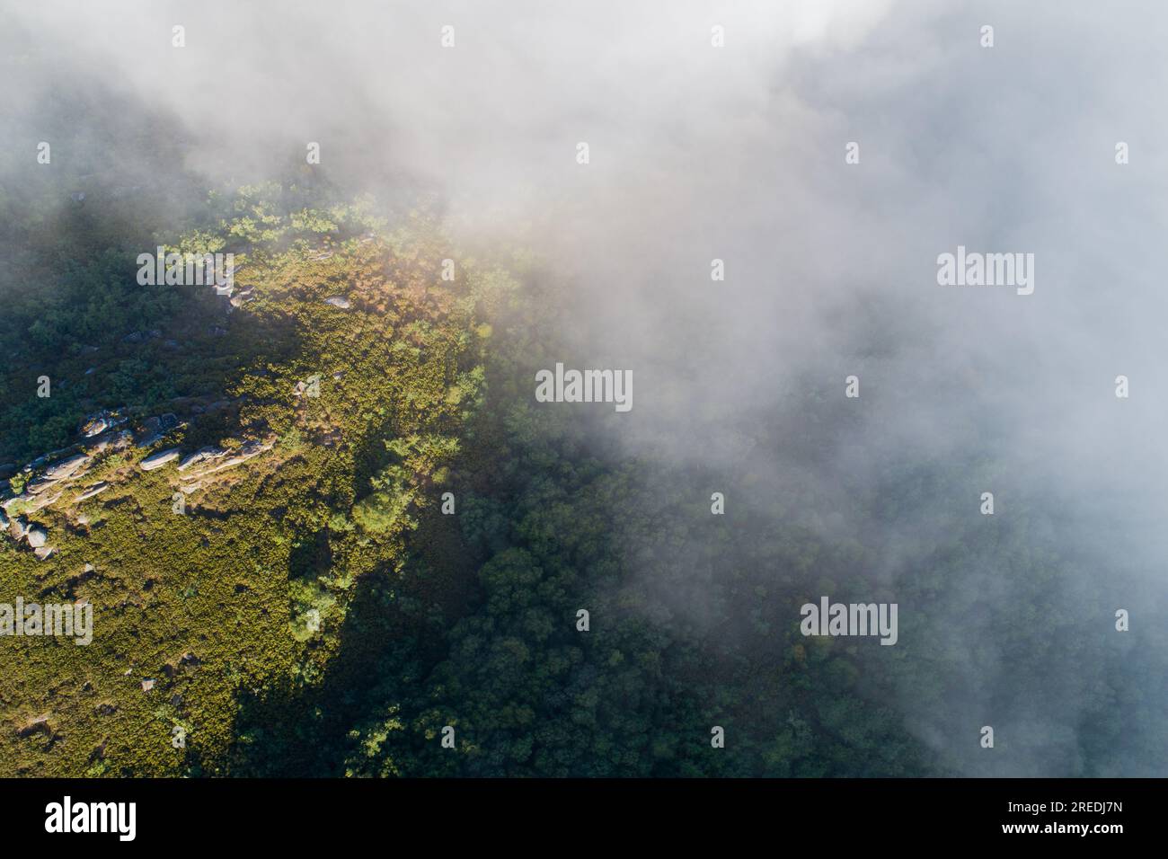 Luftaufnahme eines Eichenwaldes in den Bergen mit etwas Nebel. Stockfoto