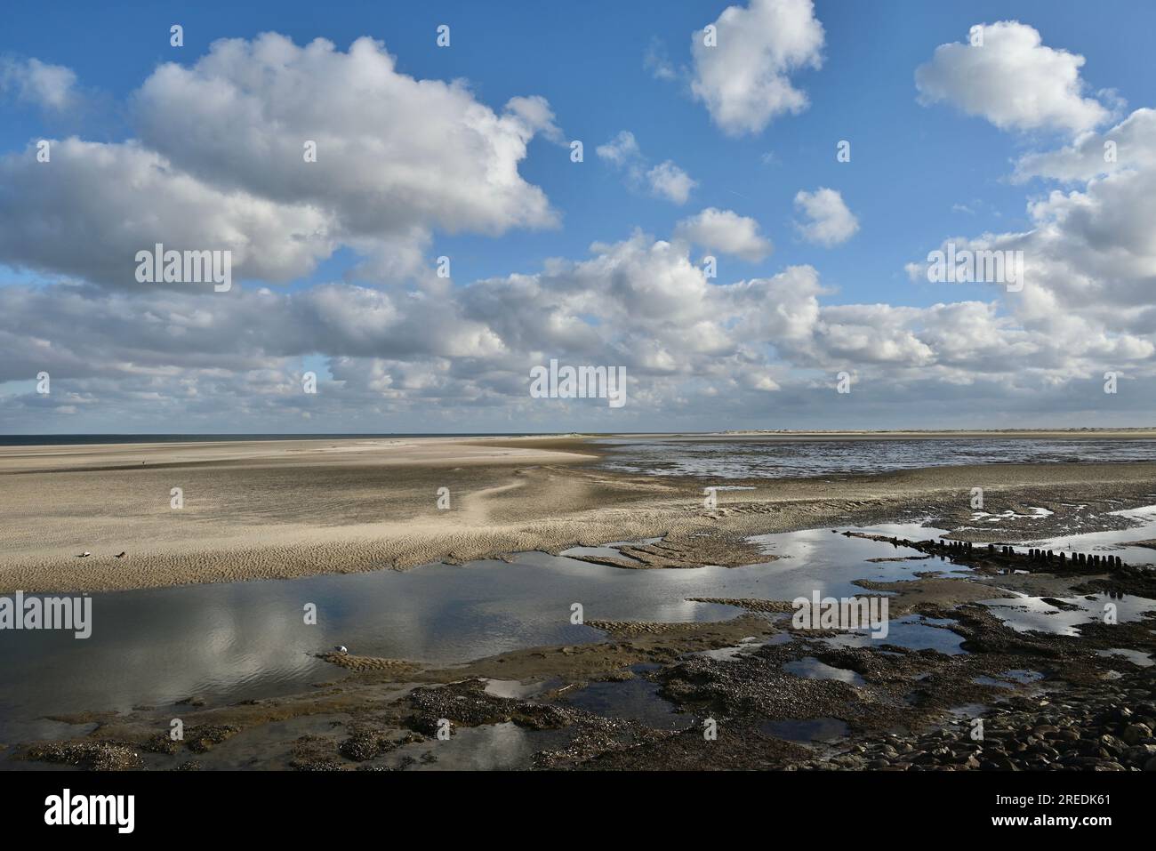 Kniepsand Haken Beach, Wittdün, Amrum, Friesische Inseln, Wattenmeer, Nordsee, Deutschland Stockfoto