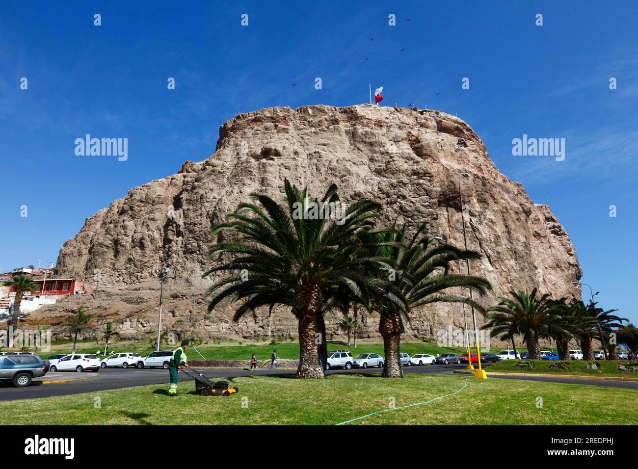 Man schneidet Grasränder neben der Av Costanera/Av. Comandante San Martín unterhalb der Klippen der Landzunge El Morro, Arica, Chile Stockfoto