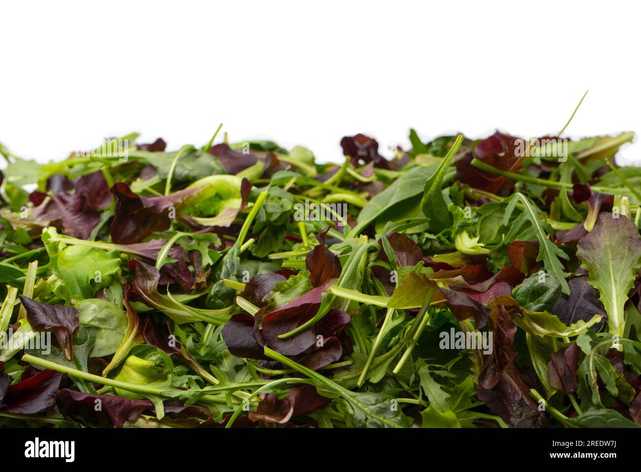 Mischung aus frischem Salat als Hintergrund. Draufsicht. Stockfoto