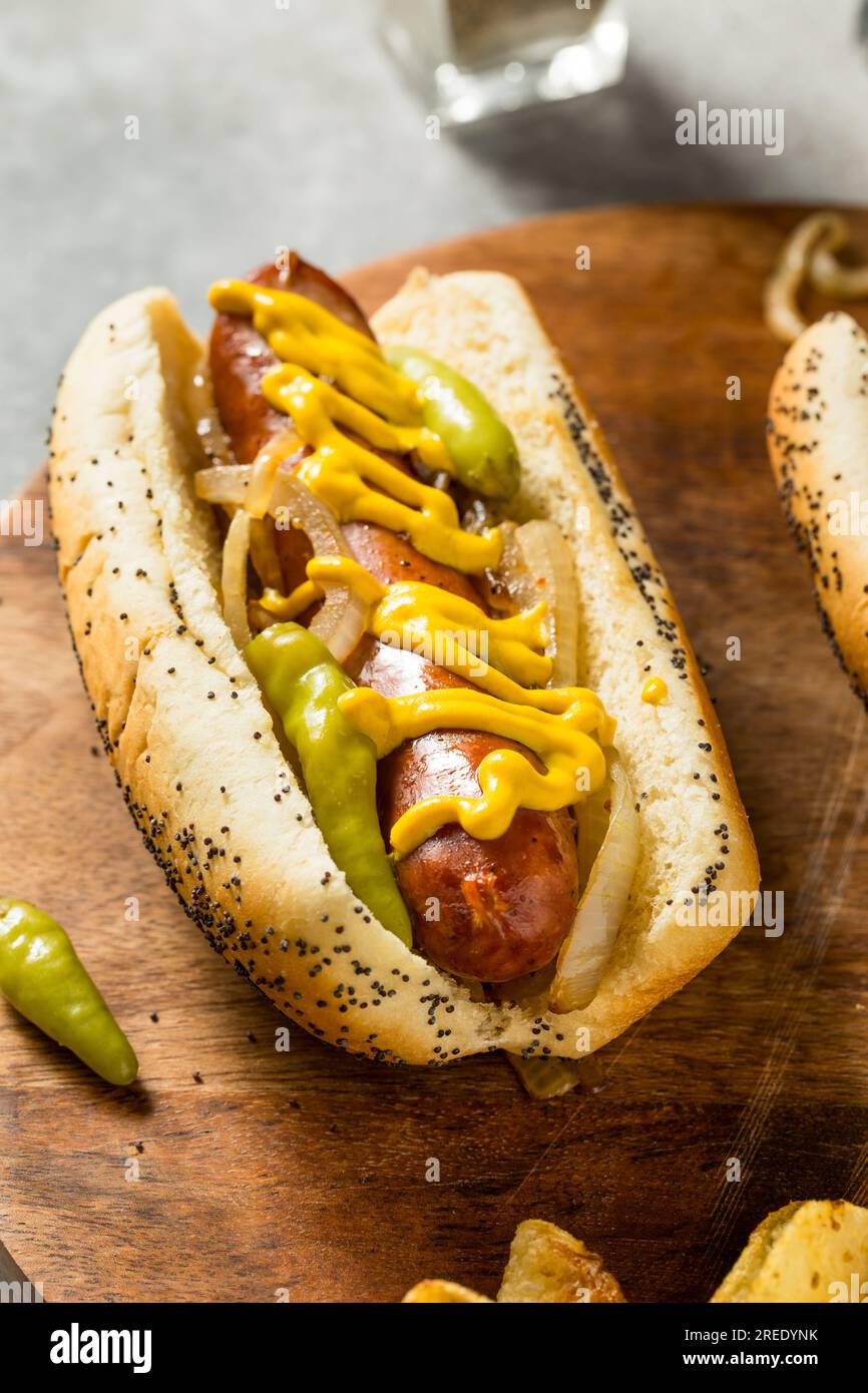 Hausgemachte polnische Würstchen in der Maxwell Street im Chicago Style mit Senf und Zwiebeln Stockfoto